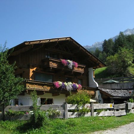 Haus Gamskogl Apartment Neustift im Stubaital Ngoại thất bức ảnh