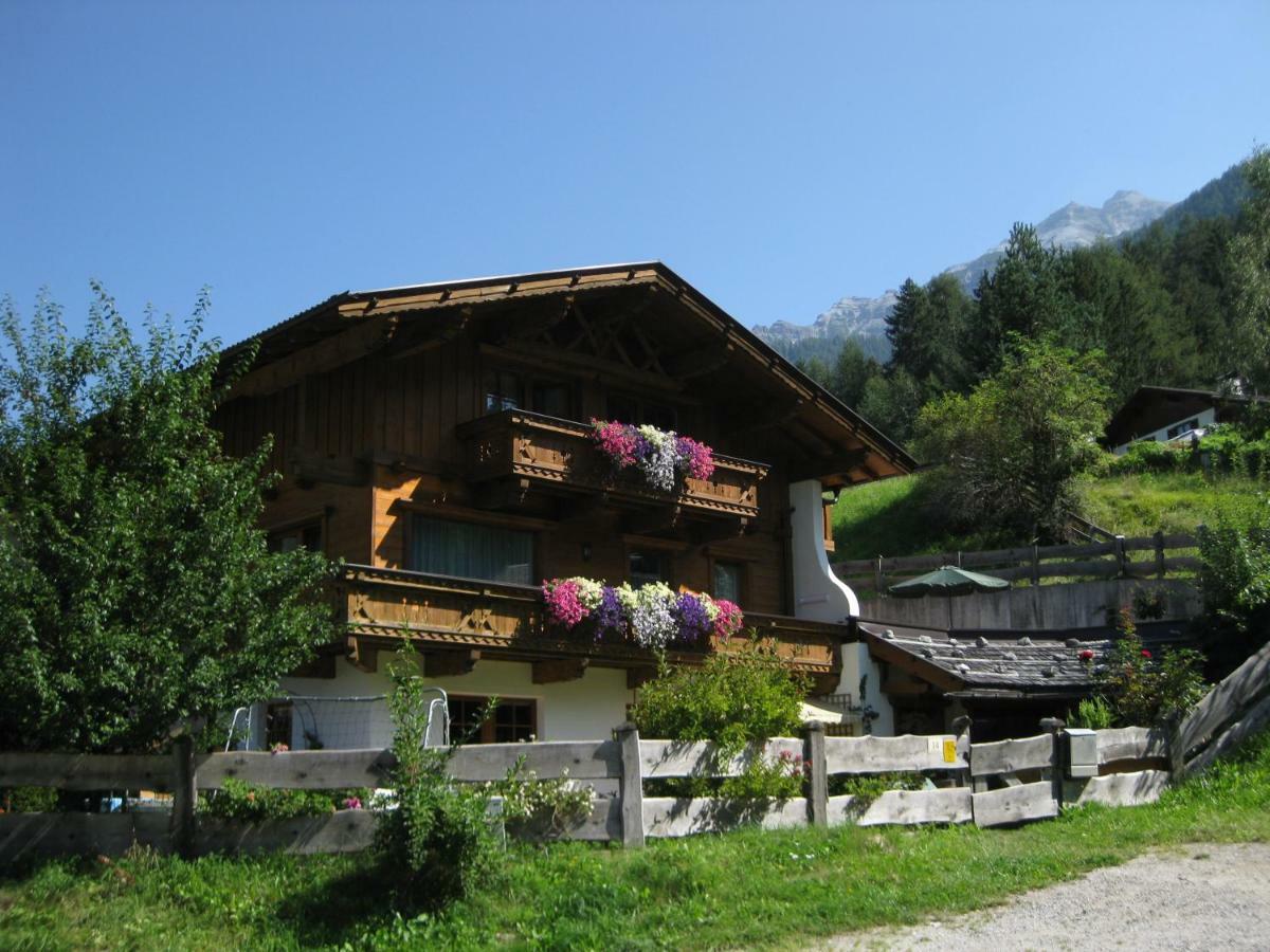 Haus Gamskogl Apartment Neustift im Stubaital Ngoại thất bức ảnh