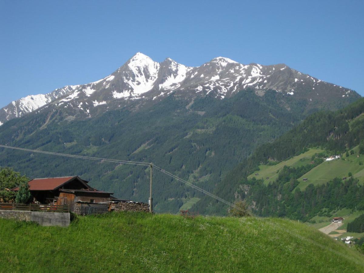 Haus Gamskogl Apartment Neustift im Stubaital Ngoại thất bức ảnh