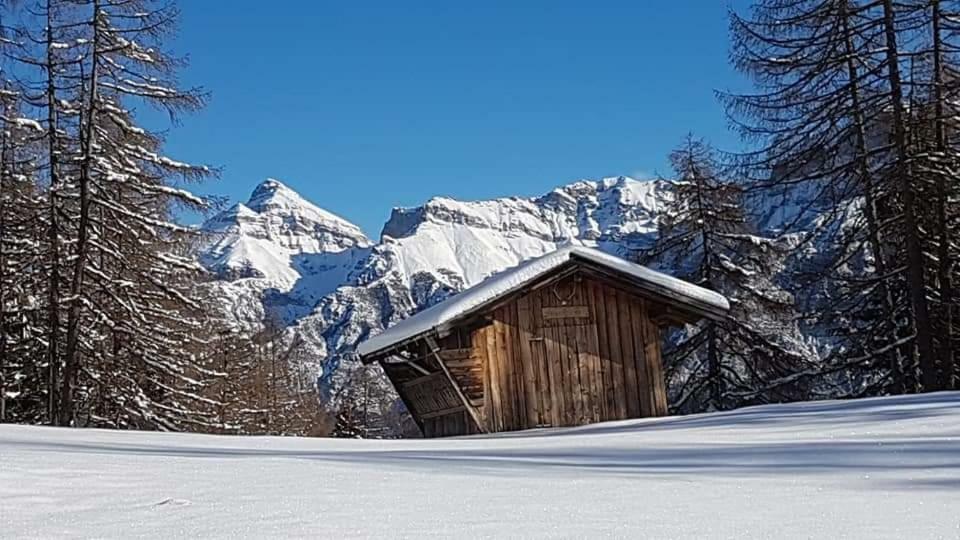 Haus Gamskogl Apartment Neustift im Stubaital Ngoại thất bức ảnh